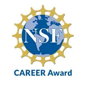 nsfcareer